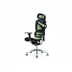 Ergonomic office chair ERGO...