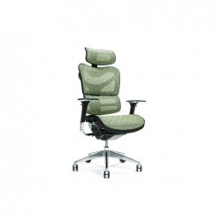 Ergonomic office chair ERGO 700 green