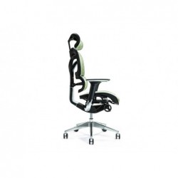 Ergonomic office chair ERGO 700 green