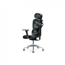 Ergonomic office chair ERGO...