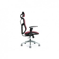 Ergonomic office chair ERGO...