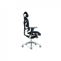 Ergonomic office chair ERGO...