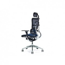 Ergonomic office chair ERGO...