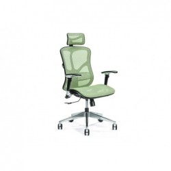 Ergonomic office chair ERGO 500 green