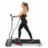 LOOP15  ELECTRIC TREADMILL FOR NORDIC WALKING HMS