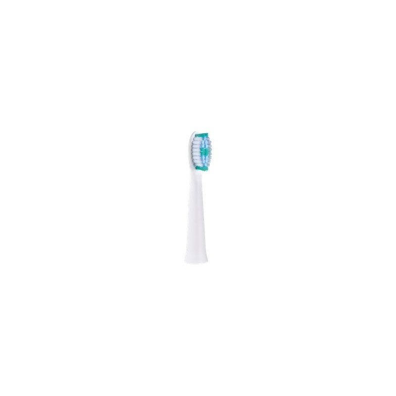 Panasonic Toothbrush replacement WEW0974W503 Heads For adults Number of brush heads included 2 Number of