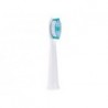 Panasonic Toothbrush replacement WEW0974W503 Heads For adults Number of brush heads included 2 Number of