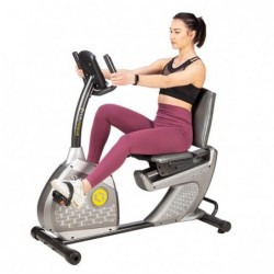 R6019-i RECUMBENT MAGNETIC BIKE HMS PREMIUM