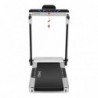 BE8501 ELECTRIC TREADMILL HMS