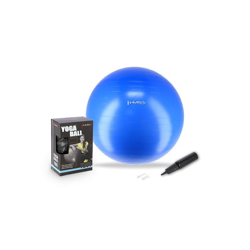 YB01N 55CM BLUE GYM BALL HMS 