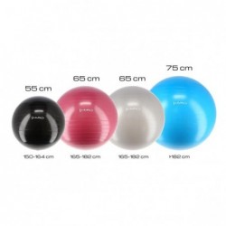 YB01N 55CM BLUE GYM BALL HMS 