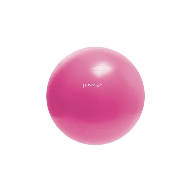 YB01N 55CM PINK GYM BALL HMS