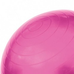 YB01N 55CM PINK GYM BALL HMS