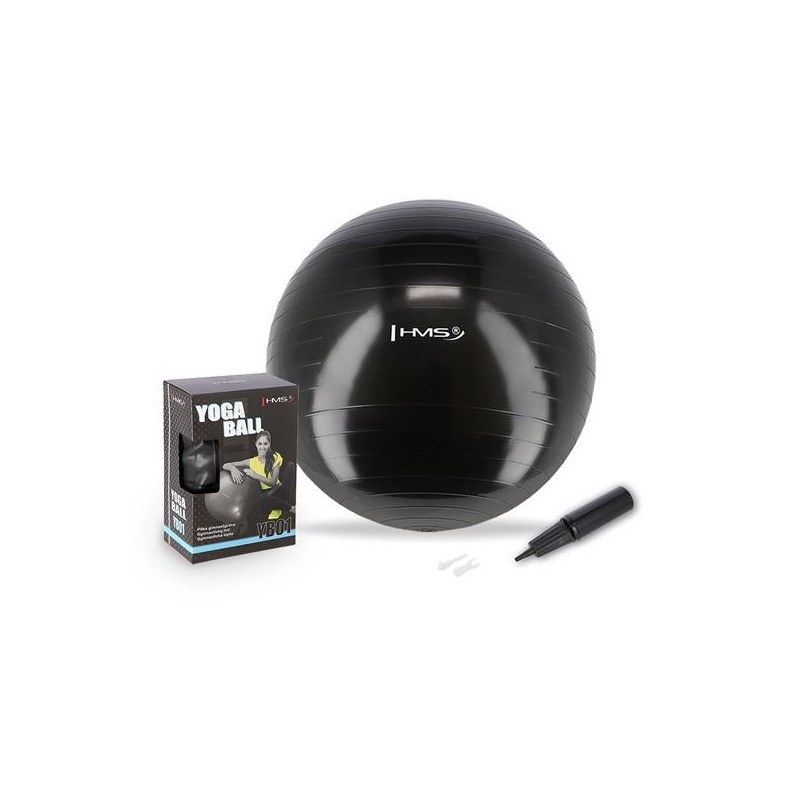 YB01N 55CM BLACK GYM BALL HMS