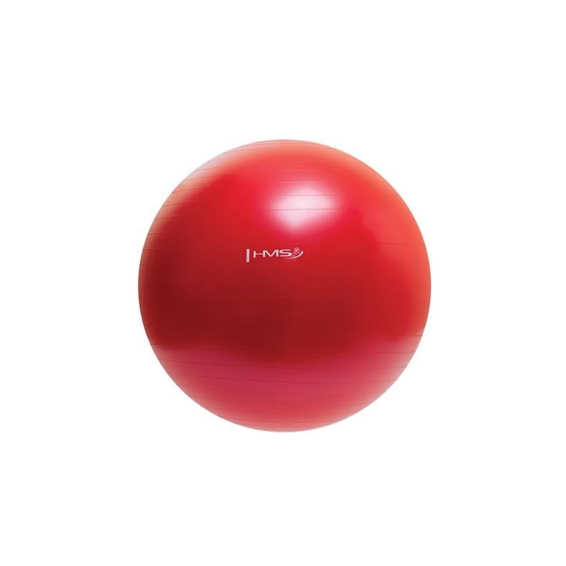 YB01N 65CM RED GYM BALL HMS