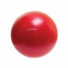 YB01N 65CM RED GYM BALL HMS