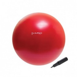 YB01N 65CM RED GYM BALL HMS