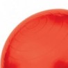 YB01N 65CM RED GYM BALL HMS