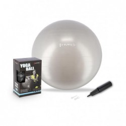 YB01N 65CM GRAY GYM BALL HMS