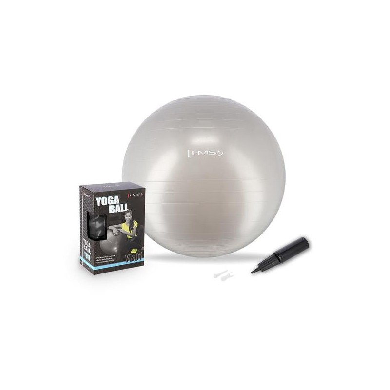 YB01N 65CM GRAY GYM BALL HMS