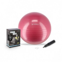 YB01 NEW 65CM PLUM GYM BALL...