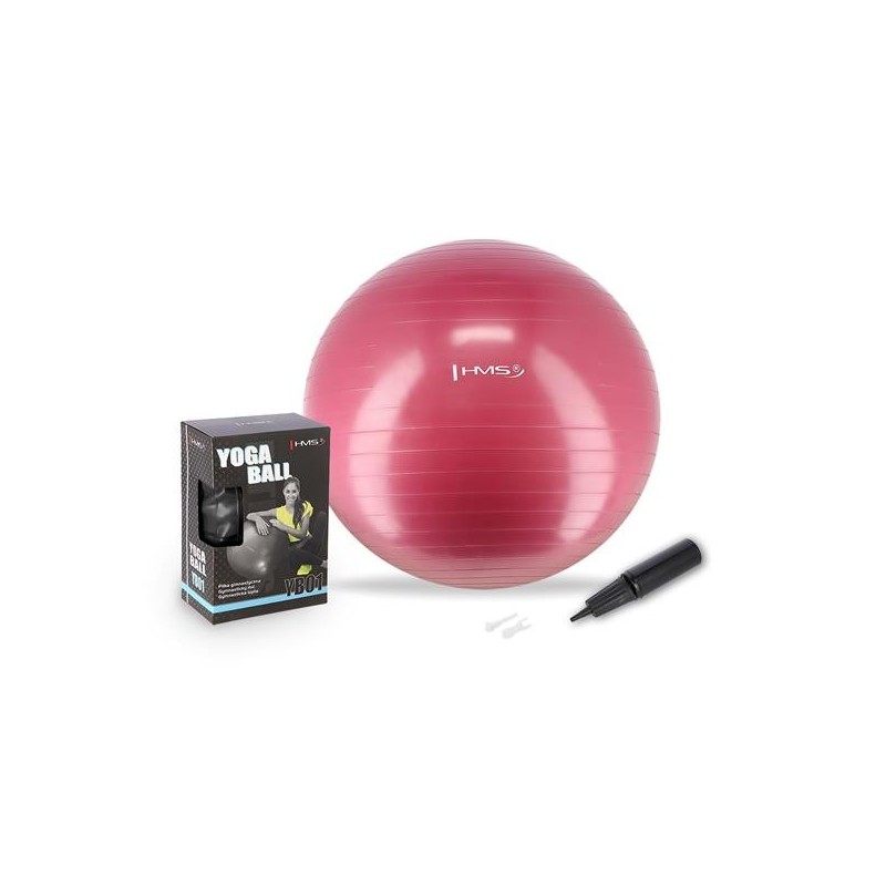 YB01 NEW 65CM PLUM GYM BALL HMS