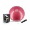 YB01 NEW 65CM PLUM GYM BALL HMS