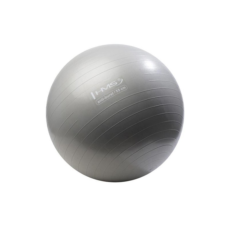 YB02N 55CM GRAPHITTE GYM BALL HMS