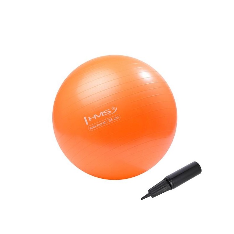 YB02N 55CM ORANGE GYM BALL HMS