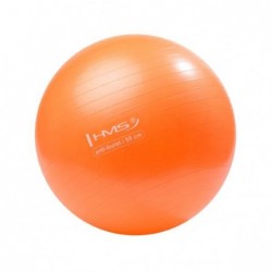 YB02N 55CM ORANGE GYM BALL HMS