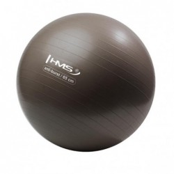 YB02N 65CM GRIZZLY GYM BALL...