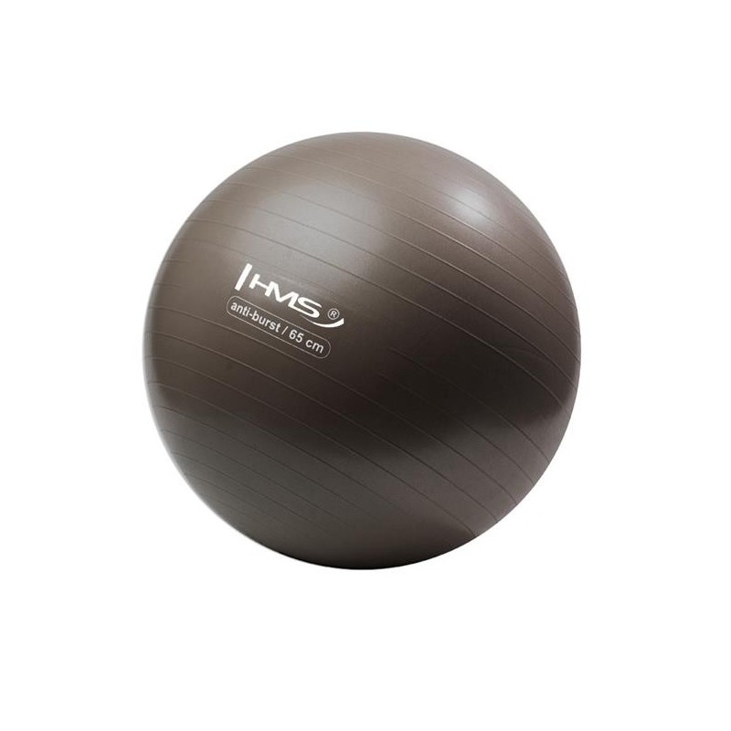 YB02N 65CM GRIZZLY GYM BALL HMS