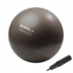 YB02N 65CM GRIZZLY GYM BALL HMS