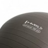 YB02N 65CM GRIZZLY GYM BALL HMS