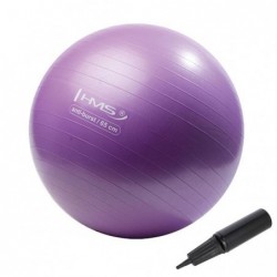 YB02N 65CM PURPLE GYM BALL HMS