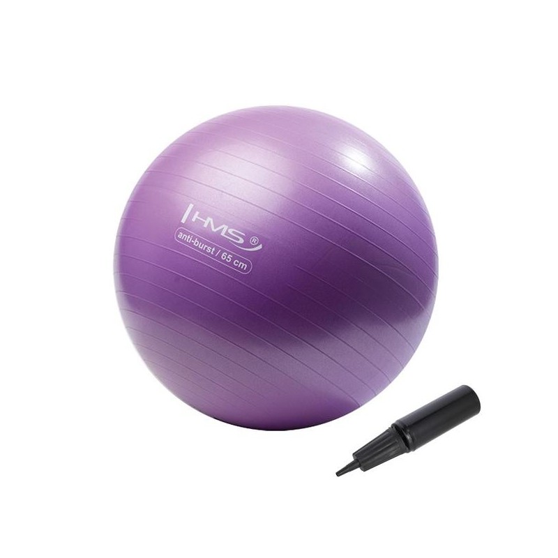 YB02N 65CM PURPLE GYM BALL HMS