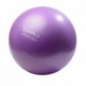 YB02N 65CM PURPLE GYM BALL HMS