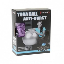 YB02N 65CM PURPLE GYM BALL HMS