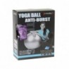 YB02N 65CM PURPLE GYM BALL HMS