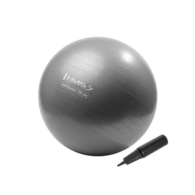 YB02N 75CM GRAY GYM BALL HMS