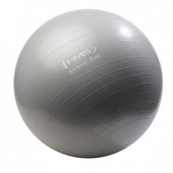 YB02N 75CM GRAY GYM BALL HMS