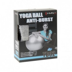 YB02N 75CM GRAY GYM BALL HMS