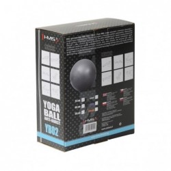 YB02N 75CM GRAY GYM BALL HMS