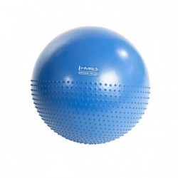 YB03N 55CM NAVY BLUE GYM BALL HMS