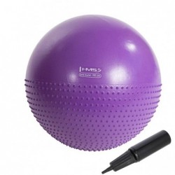 YB03N 55CM VIOLET GYM BALL HMS