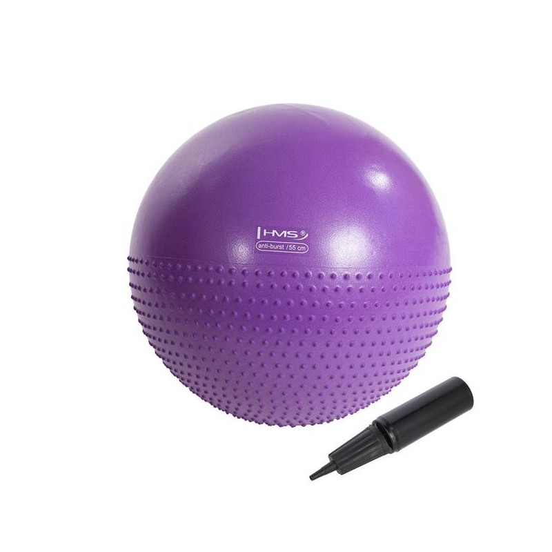 YB03N 55CM VIOLET GYM BALL HMS