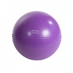 YB03N 55CM VIOLET GYM BALL HMS