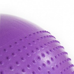 YB03N 55CM VIOLET GYM BALL HMS