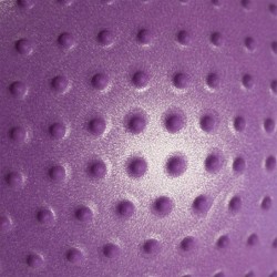 YB03N 55CM VIOLET GYM BALL HMS