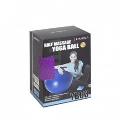 YB03N 55CM VIOLET GYM BALL HMS